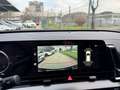 Kia Sportage 1.6 Crdi Mhev DCT7 GT-line 136CV  PRONTA CONSEGNA Bianco - thumbnail 17