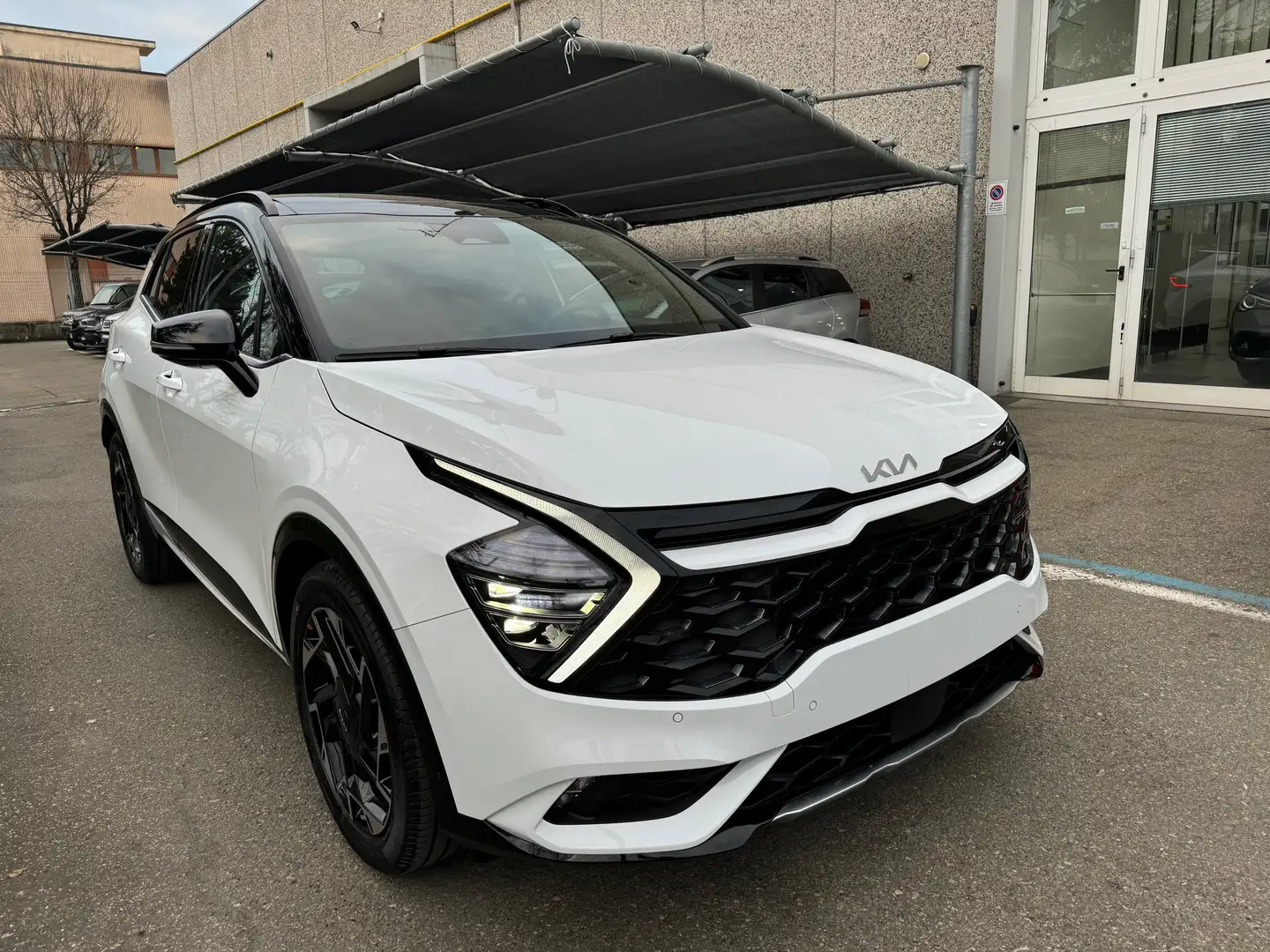 Kia Sportage 1.6 Crdi Mhev DCT7 GT-line 136CV  PRONTA CONSEGNA Bianco - 2