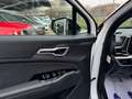 Kia Sportage 1.6 Crdi Mhev DCT7 GT-line 136CV  PRONTA CONSEGNA Bianco - thumbnail 12