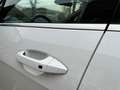 Kia Sportage 1.6 Crdi Mhev DCT7 GT-line 136CV  PRONTA CONSEGNA Bianco - thumbnail 7