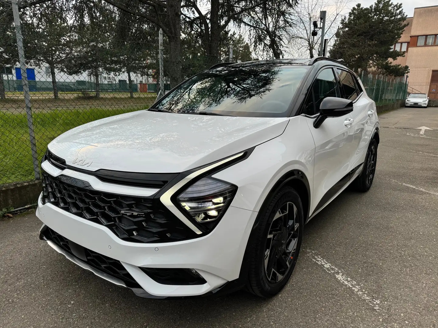 Kia Sportage 1.6 Crdi Mhev DCT7 GT-line 136CV  PRONTA CONSEGNA Bianco - 1