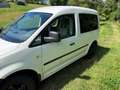 Volkswagen Caddy Caddy Kombi BMT 1,6 TDI DPF Weiß - thumbnail 3