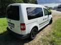 Volkswagen Caddy Caddy Kombi BMT 1,6 TDI DPF Weiß - thumbnail 6