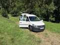 Volkswagen Caddy Caddy Kombi BMT 1,6 TDI DPF Weiß - thumbnail 11