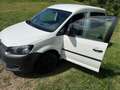 Volkswagen Caddy Caddy Kombi BMT 1,6 TDI DPF Weiß - thumbnail 5