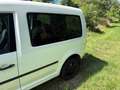 Volkswagen Caddy Caddy Kombi BMT 1,6 TDI DPF Weiß - thumbnail 4