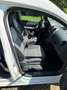 Volkswagen Caddy Caddy Kombi BMT 1,6 TDI DPF Weiß - thumbnail 12