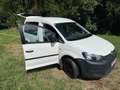 Volkswagen Caddy Caddy Kombi BMT 1,6 TDI DPF Weiß - thumbnail 10
