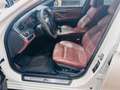 BMW 525 M Paket INDIVIDUAL 525 d/Headup/Temp/AHK/ABSTAND Weiß - thumbnail 19