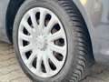 Ford Fiesta 5p 1.2 16v + 82cv - thumbnail 13