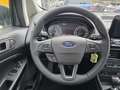 Ford EcoSport Titanium Rückfahrkamera, Garantie Grau - thumbnail 12