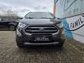 Ford EcoSport Titanium Rückfahrkamera, Garantie Grau - thumbnail 3