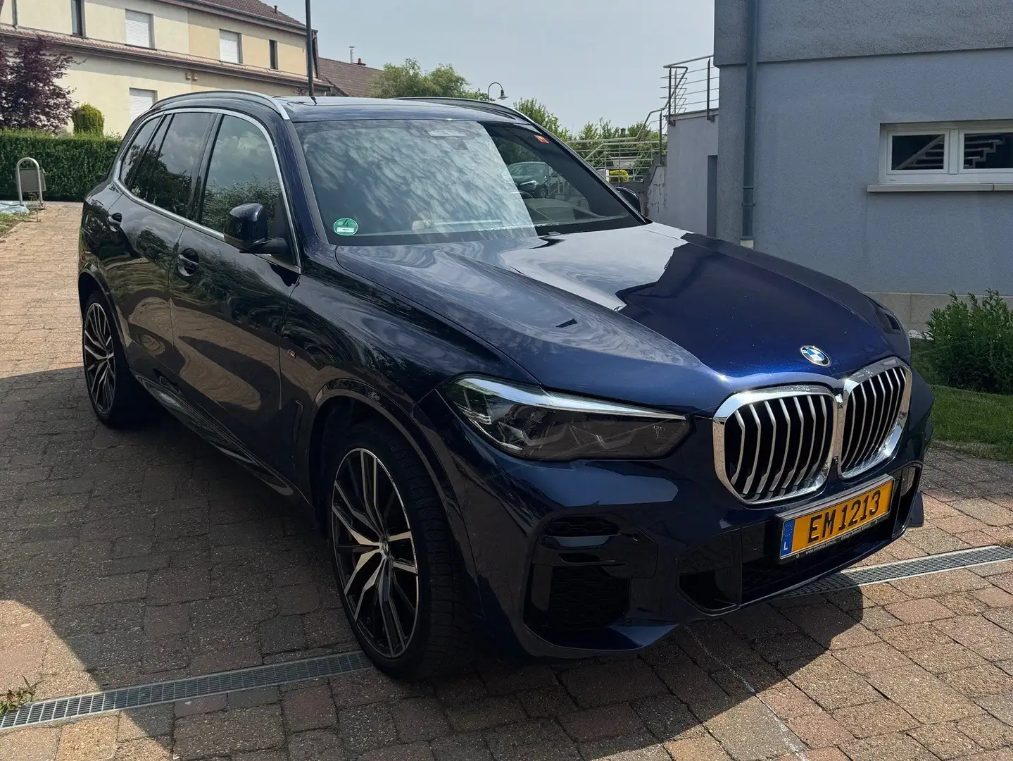 BMW X5 X5 xDrive30d Bleu - 2