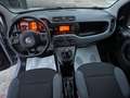 Fiat Panda Panda 1.2 EasyPower Lounge Grigio - thumbnail 12