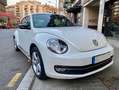 Volkswagen Beetle SPORT Blanco - thumbnail 2