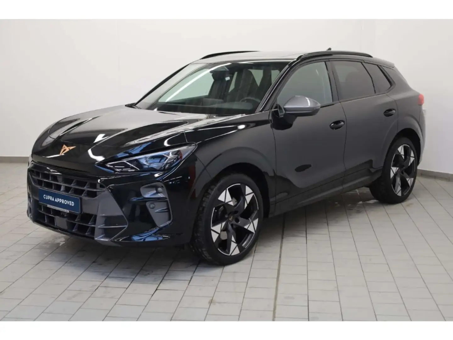 CUPRA Terramar 2.0 TSI DSG 4Dr. VZ HUD/AHK/PANO/Memory Schwarz - 2