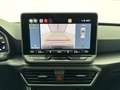 SEAT Leon 5 porte Business 2.0 TDI 110 kW (150 CV) Diesel DS Nero - thumbnail 15