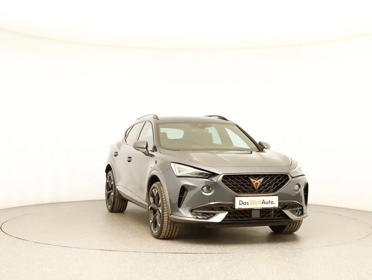 CUPRA Formentor 2.0 TDI 150 PS DSG 4Drive Grau - 2