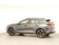 CUPRA Formentor 2.0 TDI 150 PS DSG 4Drive Grau - thumbnail 27