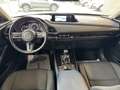 Mazda CX-30 Basis 2WD Rot - thumbnail 10