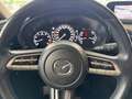 Mazda CX-30 Basis 2WD Rot - thumbnail 12