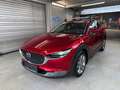 Mazda CX-30 Basis 2WD Rot - thumbnail 3