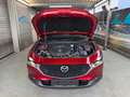 Mazda CX-30 Basis 2WD Rot - thumbnail 17