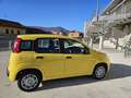 Fiat Panda 1.0 FireFly S&S Hybrid  con Fidelity Free - thumbnail 7