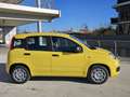 Fiat Panda 1.0 FireFly S&S Hybrid  con Fidelity Free - thumbnail 3