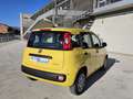 Fiat Panda 1.0 FireFly S&S Hybrid  con Fidelity Free - thumbnail 5