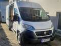 Fiat Ducato L2H2 Blanc - thumbnail 2