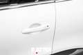 Renault Kadjar 1.6 dci energy Intens 130CV 4x4 bijela - thumbnail 5