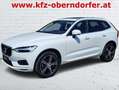 Volvo XC60 Momentum Pro 2WD Weiß - thumbnail 1