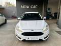 Ford Focus 1.5 TDCi 120 CV S&S SW Business Bianco - thumbnail 1