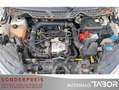 Ford EcoSport 1.0 EcoB Titanium PDC SHZ GRA AHK LM. - thumbnail 12