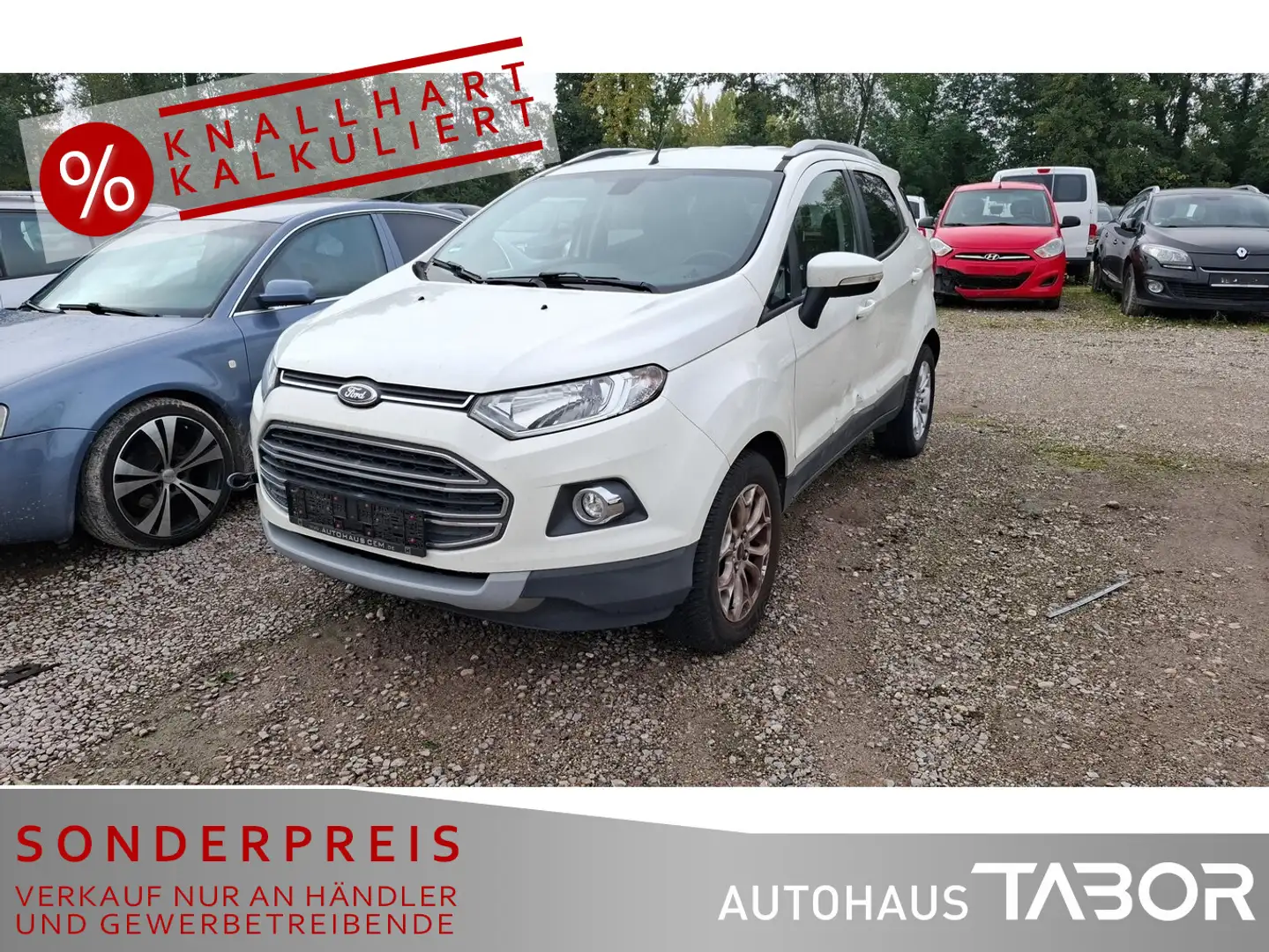 Ford EcoSport 1.0 EcoB Titanium PDC SHZ GRA AHK LM. - 1