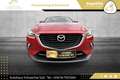 Mazda CX-3 G120 Attraction // 1.BESITZ // NUR 87.000 KM // Rot - thumbnail 6