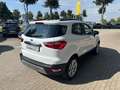 Ford EcoSport Titanium 1:0 EcoBoost SHZ/LED/BLIS/TEMP/ISOFIX Weiß - thumbnail 3