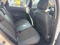 Ford EcoSport Titanium 1:0 EcoBoost SHZ/LED/BLIS/TEMP/ISOFIX Weiß - thumbnail 12