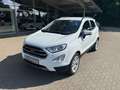 Ford EcoSport Titanium 1:0 EcoBoost SHZ/LED/BLIS/TEMP/ISOFIX Weiß - thumbnail 1