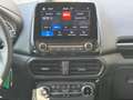 Ford EcoSport Titanium 1:0 EcoBoost SHZ/LED/BLIS/TEMP/ISOFIX Weiß - thumbnail 8