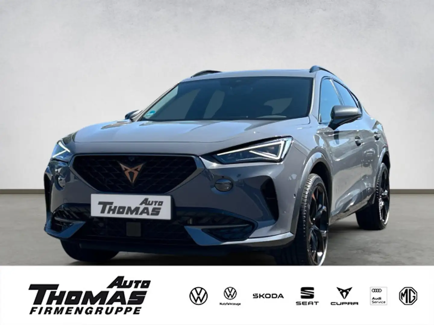 CUPRA Formentor VZ 4Drive 2.0TSI DSG 310PS Schiebedach Grau - 1