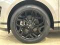 Land Rover Range Rover Evoque Cam SHZ Park-Assist Grau - thumbnail 12