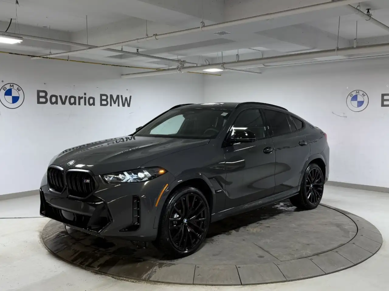 2026 BMW X6