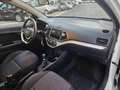 Kia Picanto 1.0 12V 5 porte Easy Blanc - thumbnail 12