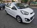 Kia Picanto 1.0 12V 5 porte Easy Blanc - thumbnail 1