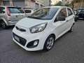 Kia Picanto 1.0 12V 5 porte Easy Blanc - thumbnail 3