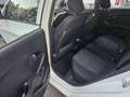 Kia Picanto 1.0 12V 5 porte Easy Blanc - thumbnail 13