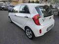 Kia Picanto 1.0 12V 5 porte Easy Blanc - thumbnail 6