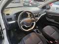 Kia Picanto 1.0 12V 5 porte Easy Blanc - thumbnail 8